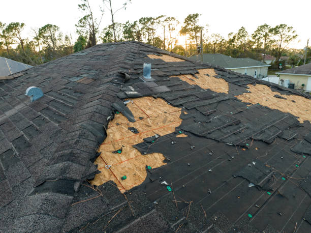 Professional Roofing service in Santee, SC